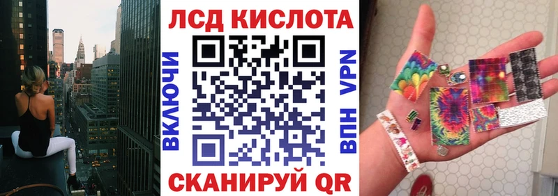 Наркотические марки 1500мкг  OMG маркетплейс  Новозыбков  купить наркоту 